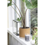 ALTUM Duftkerze Amber flieder 7cm â Bild 3