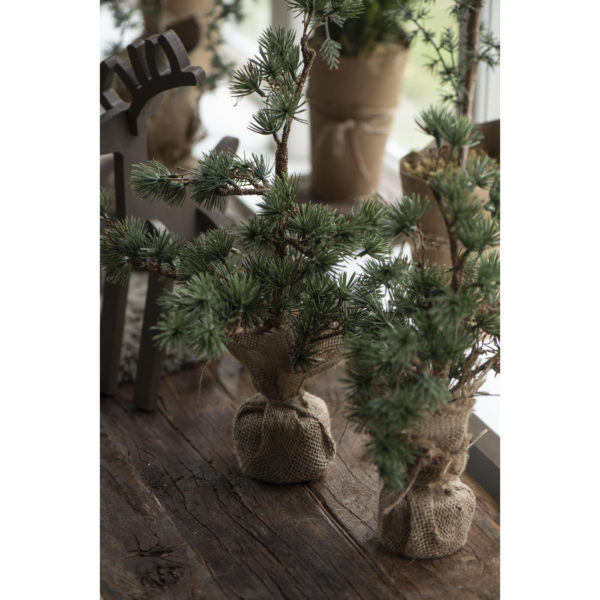 15542_W1400_1 Zeder unecht mit Jutetopf 34cm â Bild 2