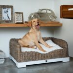 Rustic Rattan RR Classic Dog Basket â Bild 3