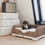 Rustic Rattan RR Classic Dog Basket â Bild 4