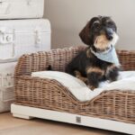 Rustic Rattan RR Classic Dog Basket â Bild 5